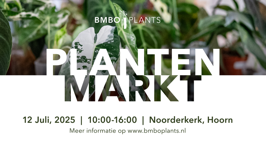 Plantenmarkt