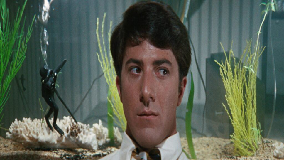The Graduate