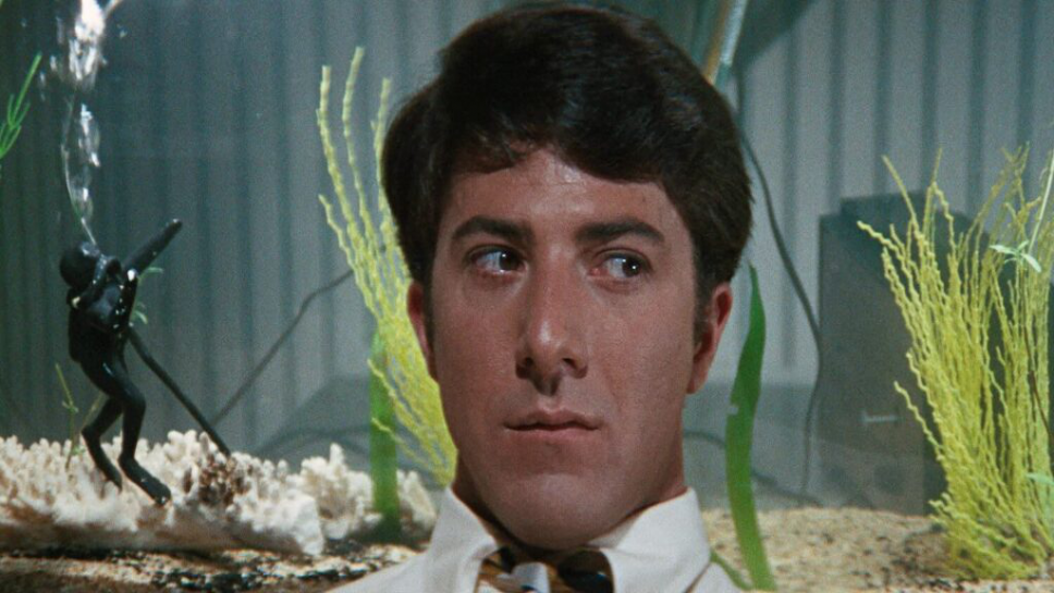 The Graduate (4K Restoration) Voorpremière
